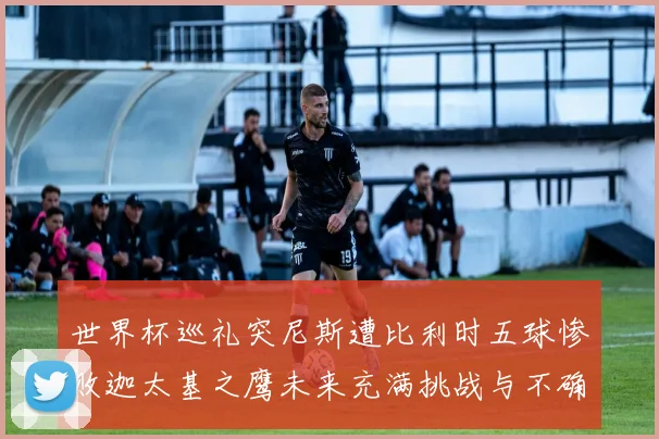 世界杯巡礼突尼斯遭比利时五球惨败迦太基之鹰未来充满挑战与不确定性